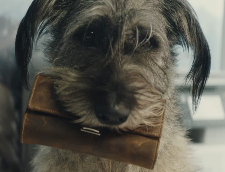 BAWAG P.S.K. Wertpapierkampagne »Beschützen«